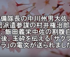パラオの桜「ペリリュー島の戦い、島民世界から見た日本を戦火に巻き込んではならないと桜花のごとく散った日本軍の武士道精神